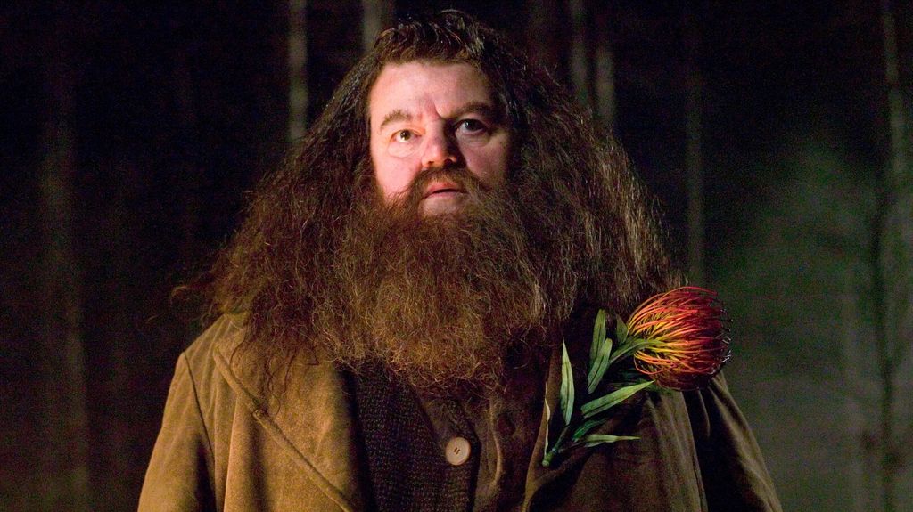 L'acteur d'« Harry Potter » Robbie Coltrane est décédé à l'âge de 72 ans