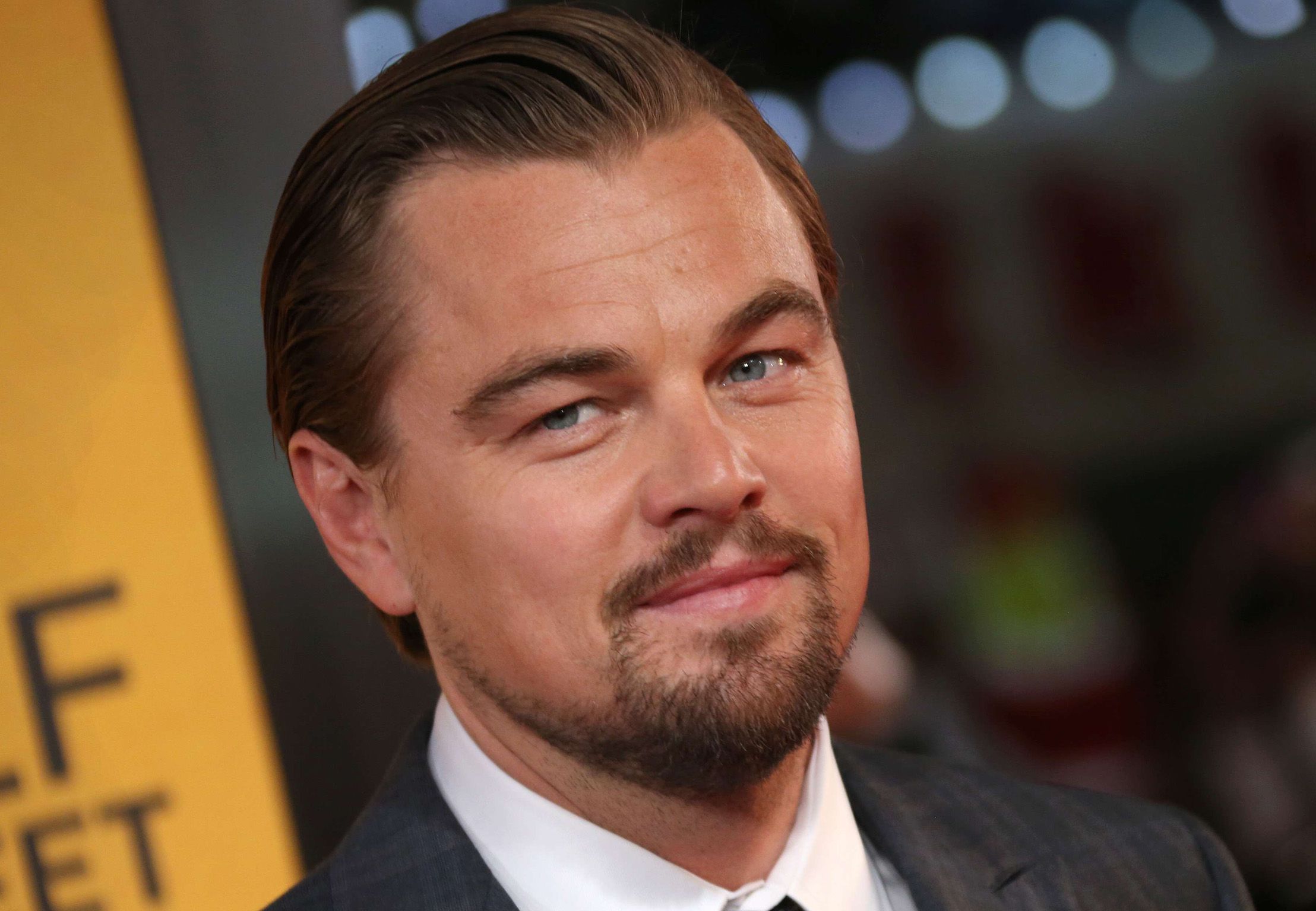 Leonardo DiCaprio vient au secours d’une réserve naturelle de République Démocratique du Congo