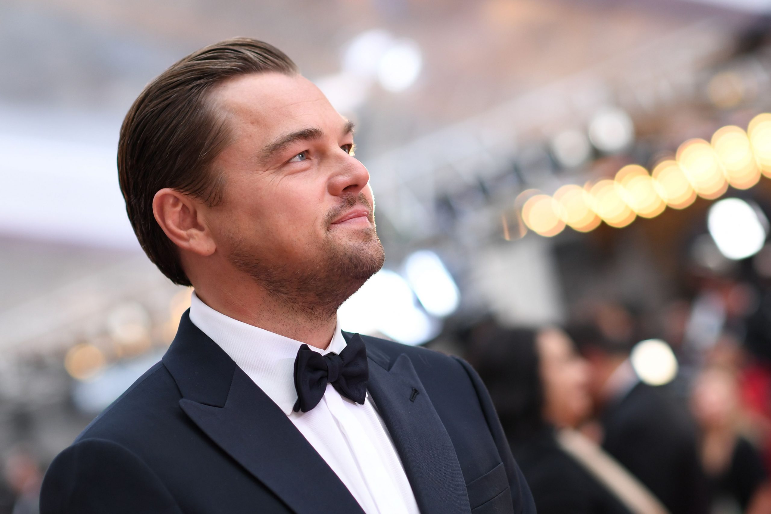 Un arbre tropical porte désormais le nom de Leonardo Dicaprio